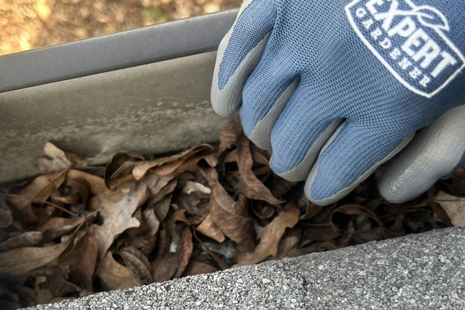 Gutter Cleaning Churchland