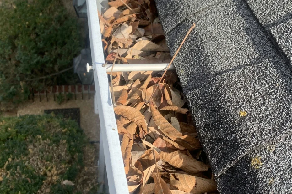 Gutter Cleaning Churchland